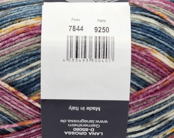 Носочная пряжа Lana Grossa MEILENWEIT 100 FIOCCO  80% шерсть, 20% полиамид - 7844